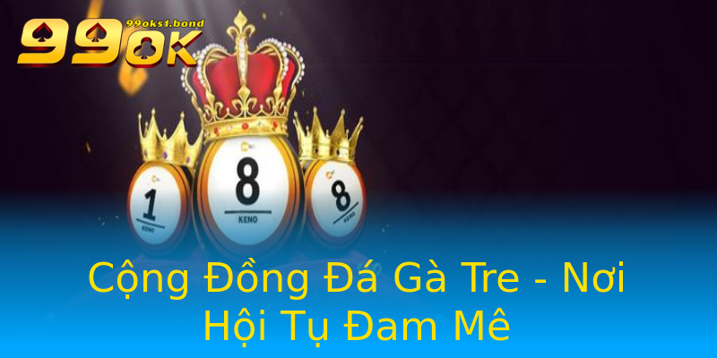 Cộng Đồng Đá Gà Tre - Nơi Hội Tụ Đam Mê Cộng Đồng Đá Gà Tre - Nơi Hội Tụ Đam Mê