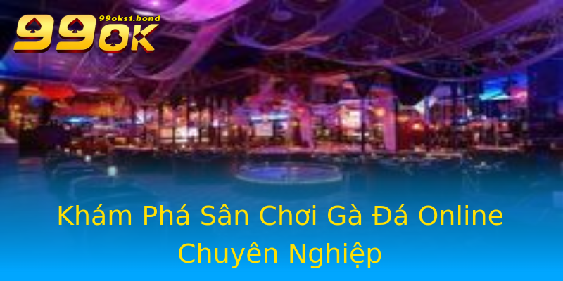 Khám Phá Sân Chơi Gà Đá Online Chuyên Nghiệp Khám Phá Sân Chơi Gà Đá Online Chuyên Nghiệp