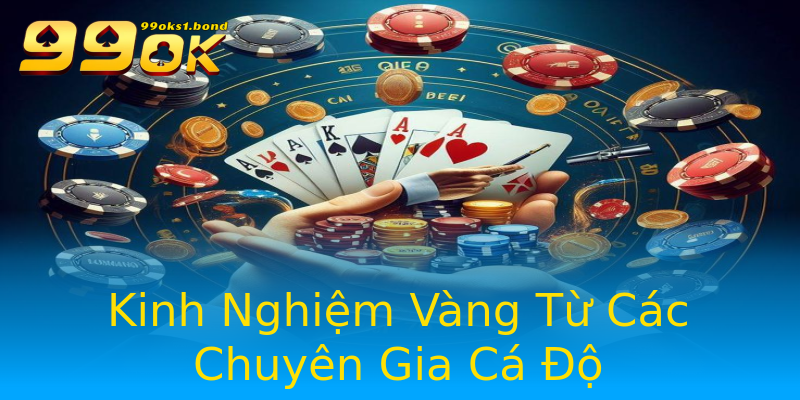Kinh Nghiệm Vàng Từ Các Chuyên Gia Cá Độ Kinh Nghiệm Vàng Từ Các Chuyên Gia Cá Độ