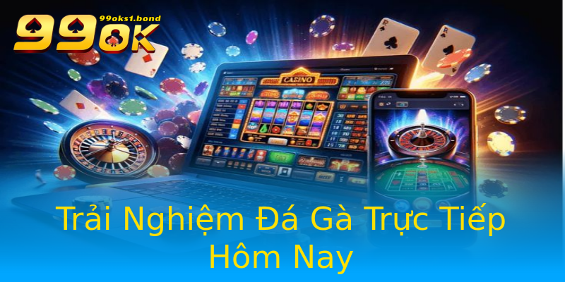 Trải Nghiệm Đá Gà Trực Tiếp Hôm Nay Trải Nghiệm Đá Gà Trực Tiếp Hôm Nay