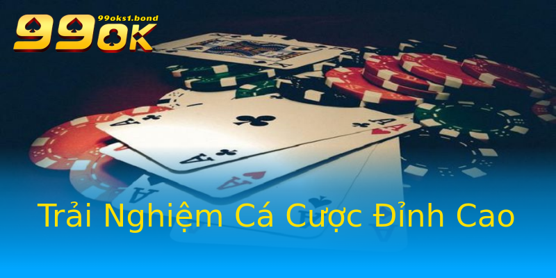 Trải Nghiệm Cá Cược Đỉnh Cao Trải Nghiệm Cá Cược Đỉnh Cao